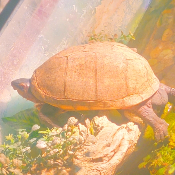 My memories on your sleeve ;) - Picture 15 of 16